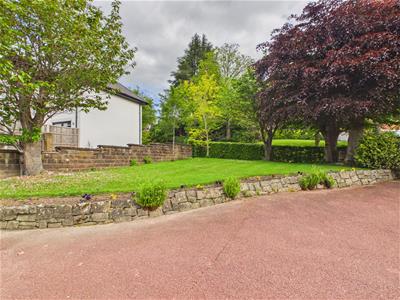 Picture 27